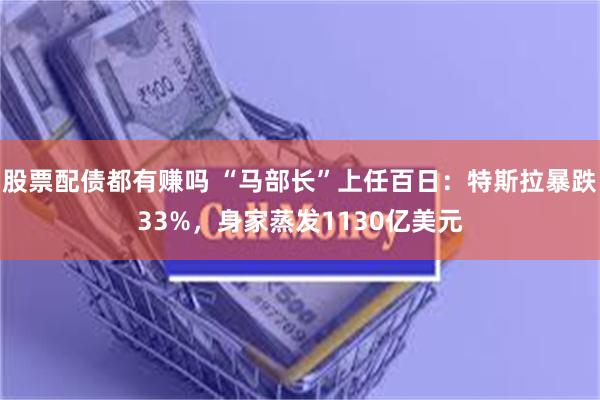 股票配债都有赚吗 “马部长”上任百日：特斯拉暴跌33%，身家蒸发1130亿美元