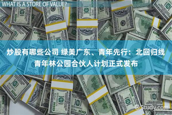 炒股有哪些公司 绿美广东、青年先行：北回归线青年林公园合伙人计划正式发布