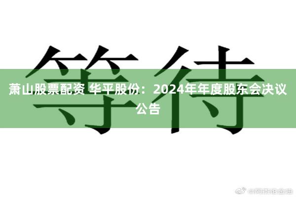 萧山股票配资 华平股份：2024年年度股东会决议公告