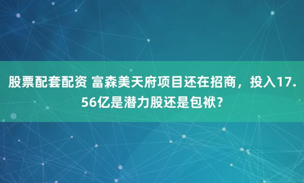股票配套配资 富森美天府项目还在招商，投入17.56亿是潜力股还是包袱？