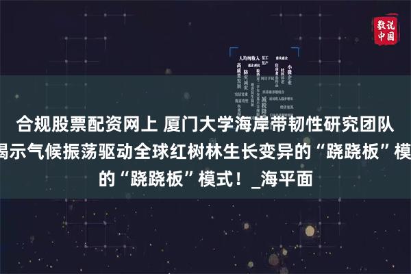合规股票配资网上 厦门大学海岸带韧性研究团队及其合作者揭示气候振荡驱动全球红树林生长变异的“跷跷板”模式！_海平面