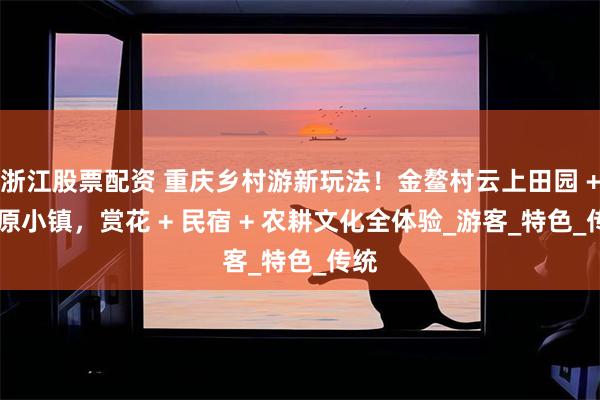 浙江股票配资 重庆乡村游新玩法！金鳌村云上田园 + 归原小镇，赏花 + 民宿 + 农耕文化全体验_游客_特色_传统