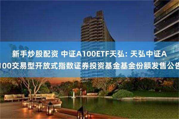 新手炒股配资 中证A100ETF天弘: 天弘中证A100交易型开放式指数证券投资基金基金份额发售公告