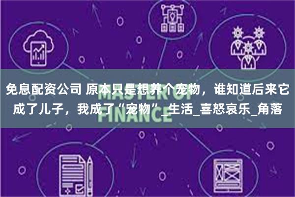 免息配资公司 原本只是想养个宠物，谁知道后来它成了儿子，我成了“宠物”_生活_喜怒哀乐_角落