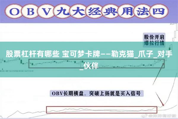 股票杠杆有哪些 宝可梦卡牌——勒克猫_爪子_对手_伙伴